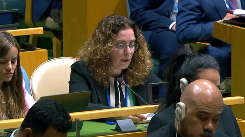 General Assembly: 76th plenary meeting, 80th session