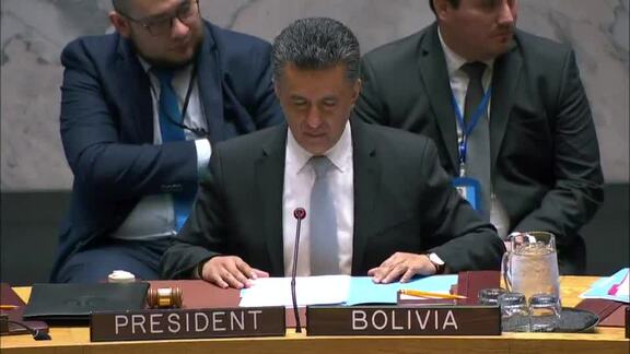 8381st Security Council Meeting: Situation in Myanmar