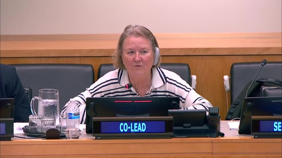 (12th meeting) - Fifth Session of the Intergovernmental Negotiating Committee on the UN Framework Convention on International Tax Cooperation (INC Tax) - 3 to 13 August 2026