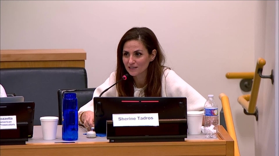High-level Meeting on the occasion of the Fifth Anniversary of the Group of Friends for Eliminating Violence against Women and Girls | Five Years On: Securing Achievements and Ensuring Durable Impact (CSW70 Side Event)