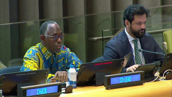 (8th meeting) Intergovernmental Negotiating Committee on the United Nations Framework Convention on International Tax Cooperation - Fourth Session