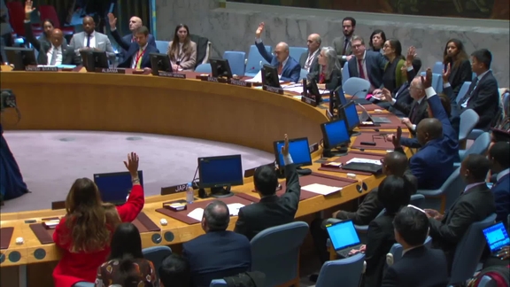 The situation in Somalia - Security Council, 9463rd meeting