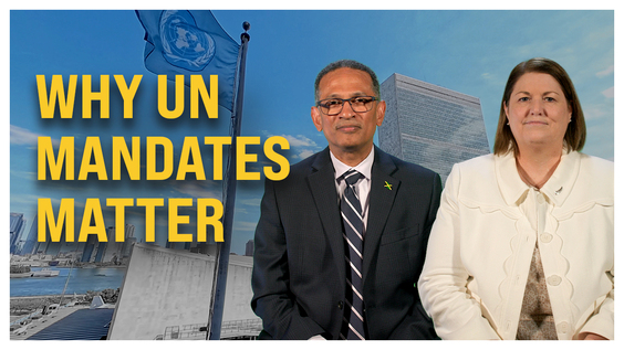 Explainer: How a landmark resolution on mandates will improve the work of UN organizations