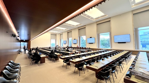 1st Meeting, 38th Session - Chairpersons of the Human Rights Treaty Bodies