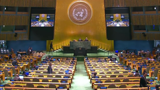 General Assembly: 109th Plenary meeting, 80th session