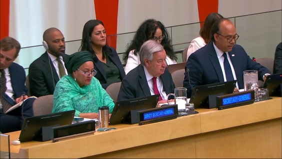 Economic and Social Council: 17th plenary meeting - 2026 Operational Activities for Development Segment