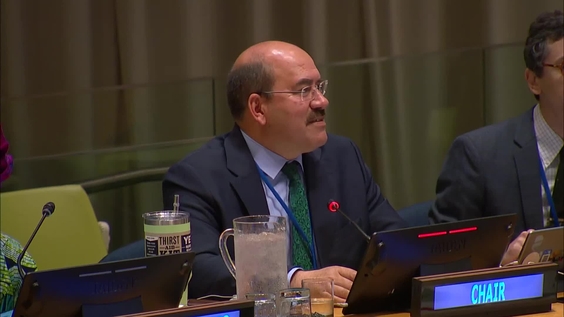 (2nd meeting) UN Forum on Forests, 20th session (UNFF20)