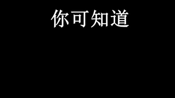 年中回顾 - 伊斯坦布尔行动纲领