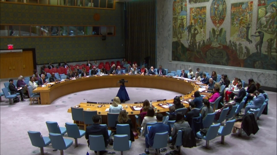 Women's participation in international peace and security: from theory to practice - Security Council open debate