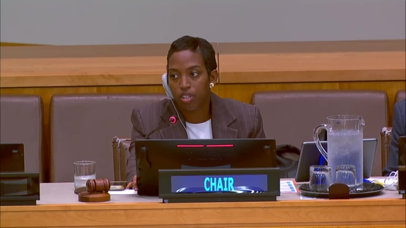 Third Committee, 12th plenary meeting - General Assembly, 81st session