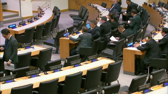 (Plenary 3) 1st Session of United Nations Group of Expert on Geographical Names