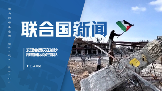 安理会授权在加沙部署国际稳定部队