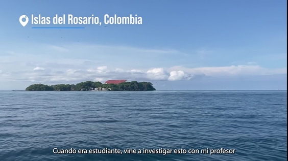 Un millón de corales por Colombia