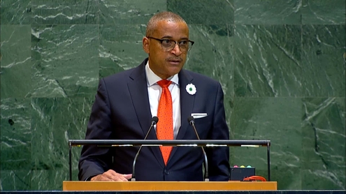 Earle Courtenay Rattray (Chef de Cabinet) on behalf of António Guterres (UN Secretary-General) on the International Day of Reflection and Commemoration of the 1995 Genocide in Srebrenica