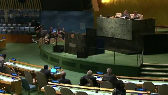 6th Plenary Meeting of General Assembly 70th Session