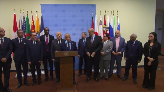 The Arab Group on the situation in the Middle East - Security Council Media Stakeout