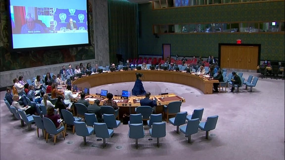 The situation in Afghanistan- Security Council, 9075th Meeting
