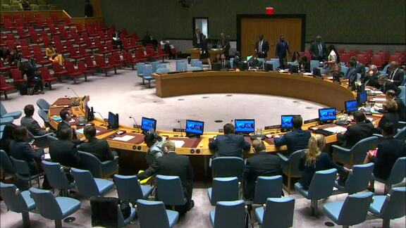 8558th Security Council Meeting: Situation in Central African Republic 