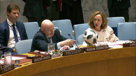 8288th Security Council Meeting: Situation in Mali