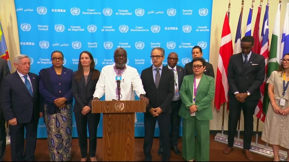 Joint Stakeout on Subsidiary Bodies by the Elected Members and Incoming Members of the Security Council - Media Stakeout