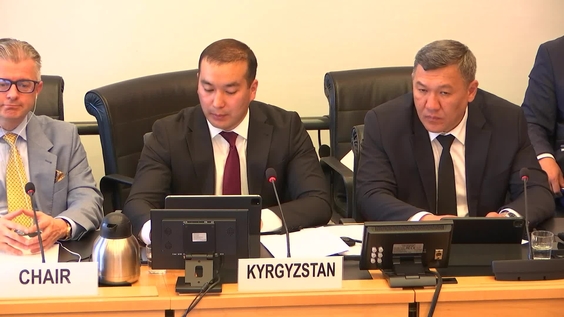 3153rd Meeting, 115th Session, Committee on the Elimination of Racial Discrimination (CERD)