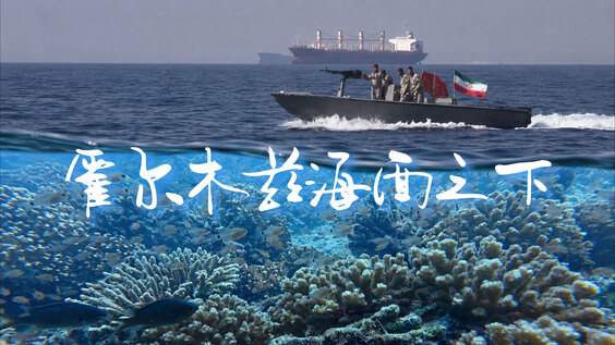 霍尔木兹海面之下