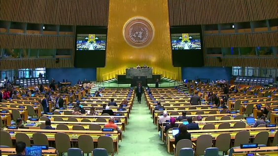 General Assembly: 26th plenary meeting, 79th session