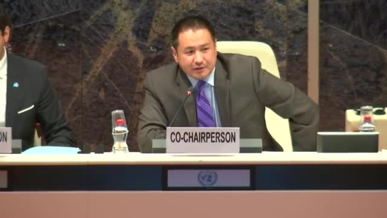Panel Discussion: Youth in sustainable development - 1st Session Forum on Human Rights, Democracy and Rule of Law