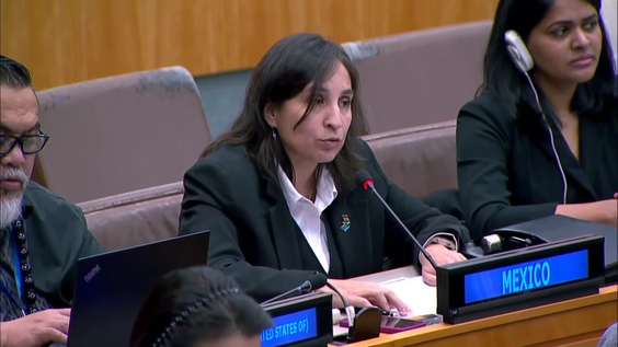 Third Committee, 52nd plenary meeting - General Assembly, 79th session