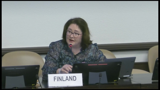 3238th Meeting, 118th Session, Committee on the Elimination of Racial Discrimination (CERD)