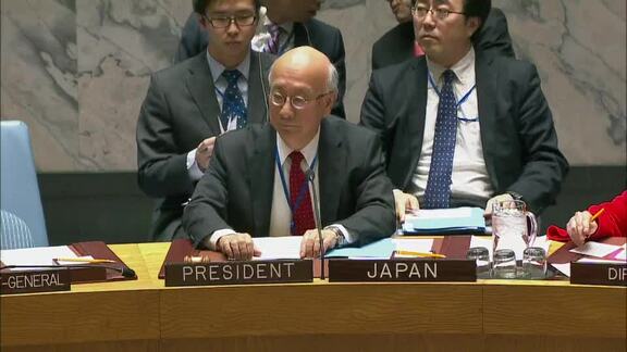 8139th Security Council Meeting: Situation in Middle East, Including Palestinian Question