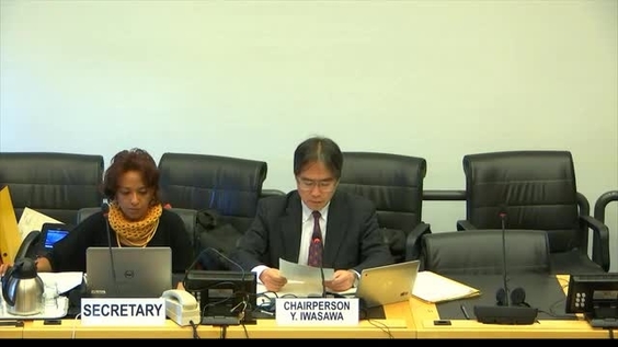 Progress report of Special Rapporteur - 3433rd Meeting 121st Session of Human Rights Committee