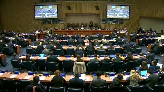 Fourth Committee, 23rd meeting - 71st General Assembly
