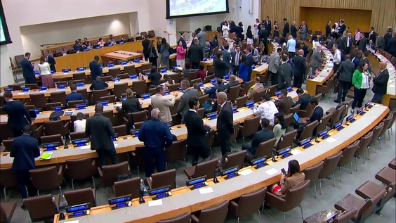 (1st meeting) Programme of Action on Small Arms and Light Weapons — Fourth Review Conference (RevCon4)
