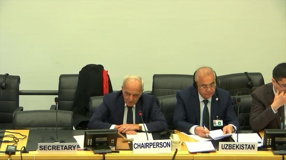 Consideration of Uzbekistan (Cont'd) - 2787th Meeting, 100th Session Committee on Elimination of Racial Discrimination