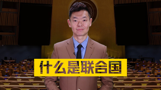 什么是联合国？