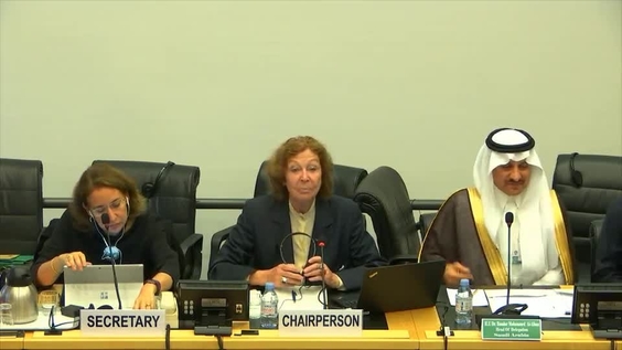 Consideration of Saudi Arabia OPSC - 2331st Meeting 79th Session Committee on the Rights of the Child