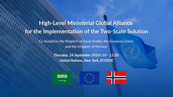 High-Level Ministerial Global Alliance for the Implementation of the ...