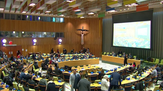 Preparatory Committee for the United Nations Conference of Plenipotentiaries on Prevention and Punishment of Crimes against Humanity - General Assembly, First Session, 8th plenary meeting