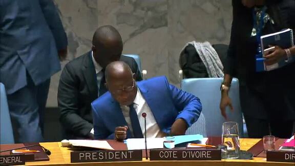 8425th Security Council Meeting: Report of Secretary-General on Sudan