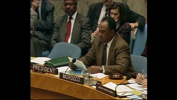 3173rd Meeting of Security Council: Bosnia and Herzegovina