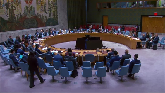 The situation between Iraq and Kuwait - Security Council, 10252nd ...