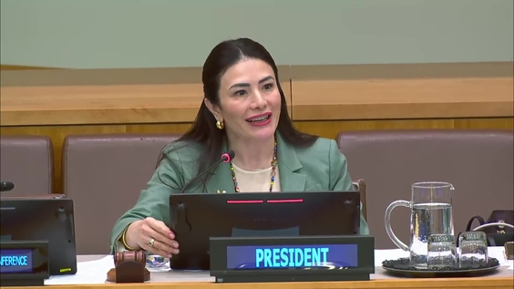 (4th meeting) Programme of Action on Small Arms and Light Weapons — Fourth Review Conference (RevCon4)