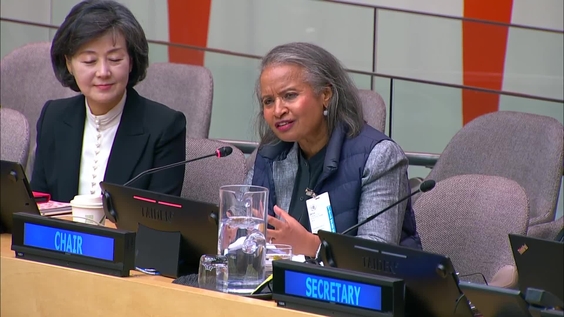 (9th meeting) 24th session of the Committee of Experts on Public Administration - Economic and Social Council