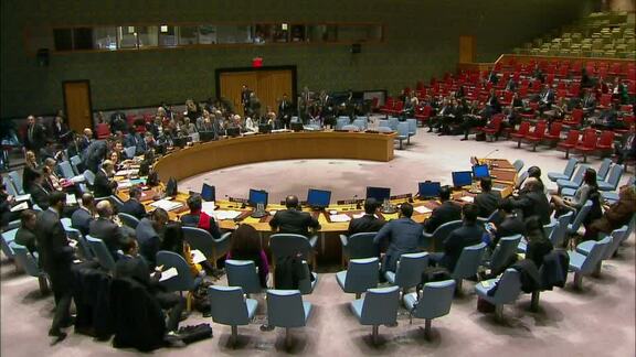 8130th Security Council Meeting: Situation in Democratic People's Republic of Korea