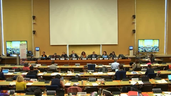 Women, Peace and Security Resolutions - Side Panel,  72nd Session Committee on the Elimination of Discrimination Against Women