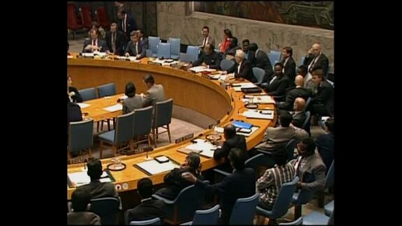 2973rd Meeting of Security Council: Occupied Arab Territories