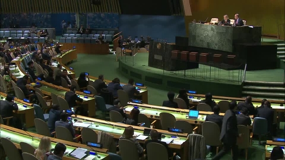 Third Committee, 58th meeting - General Assembly, 71st session