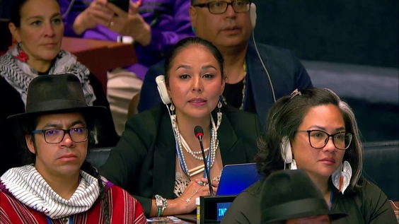 (11th meeting) UN Permanent Forum on Indigenous Issues, 24th session