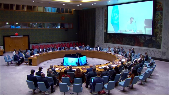 The question concerning Haiti - Security Council, 10216th meeting